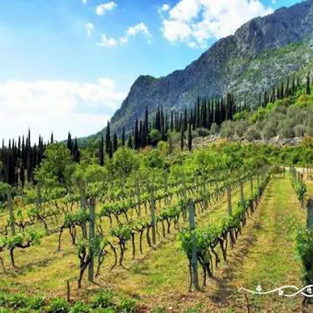 In Konavle Region Gruda Апартаменты Pridvorje