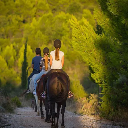 Апартаменты In Konavle Region Gruda *