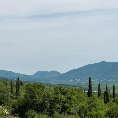 In Konavle Region Gruda Appartement Pridvorje