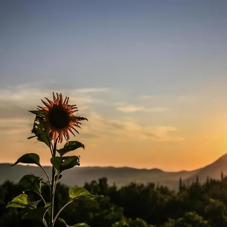 In Konavle Region Gruda *