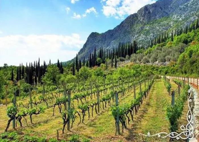 In Konavle Region Gruda Apartament Pridvorje