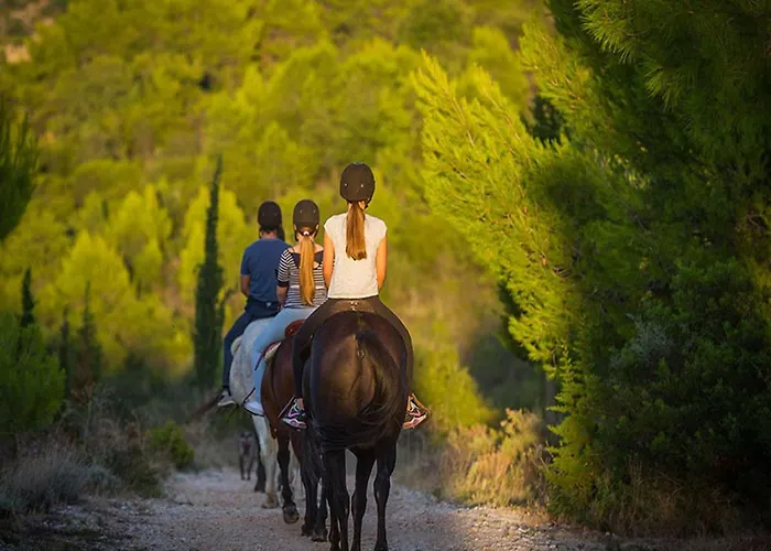 Apartament In Konavle Region Gruda *