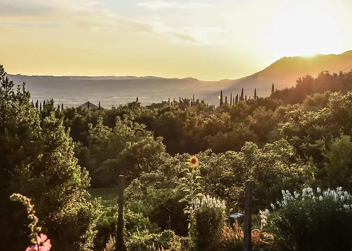 In Konavle Region Gruda Apartament