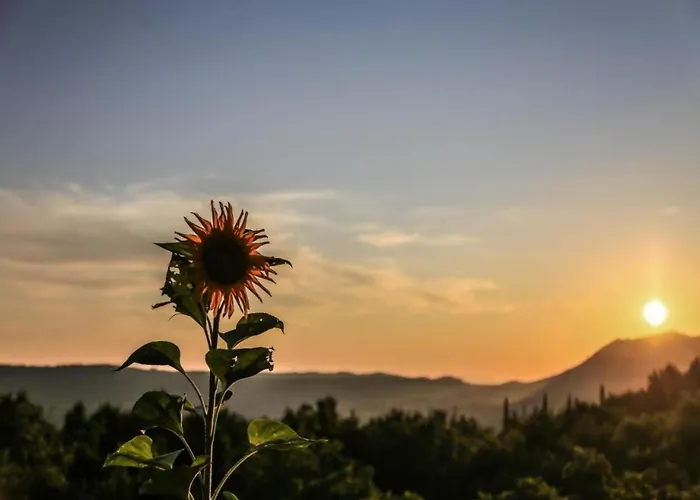 In Konavle Region Gruda *